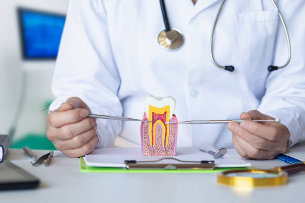 Best Emergency Root Canal Treatment in Forestville, CA